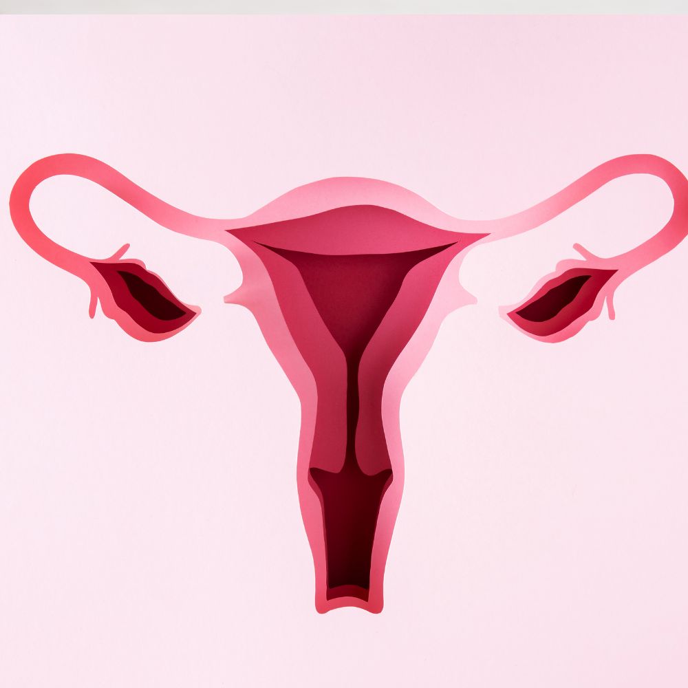 Discover the Top 10 Foods for a Healthy Uterus