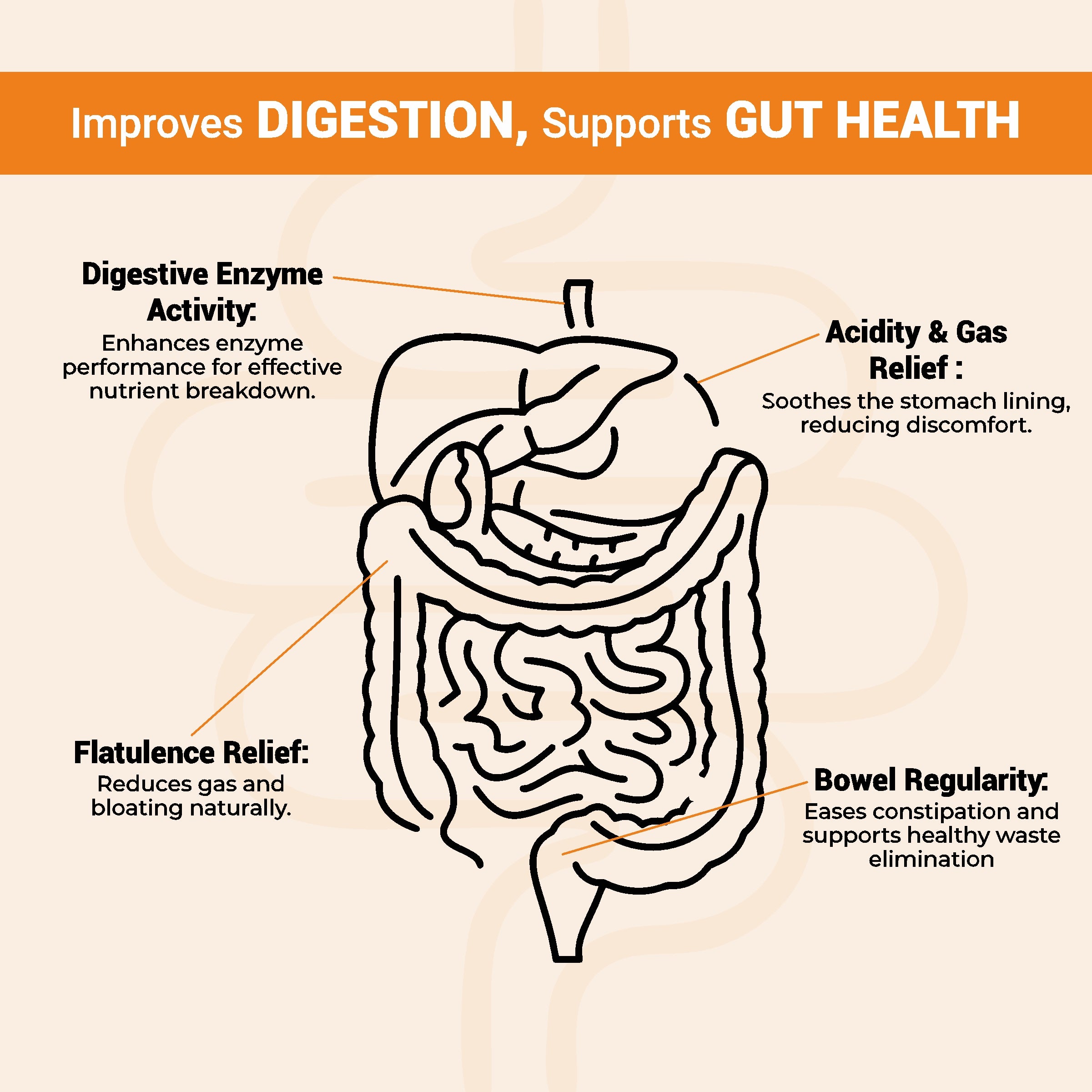 Cureveda Digest Elixir with Fermented Probiotics